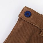 Brown Zara Chino Pant